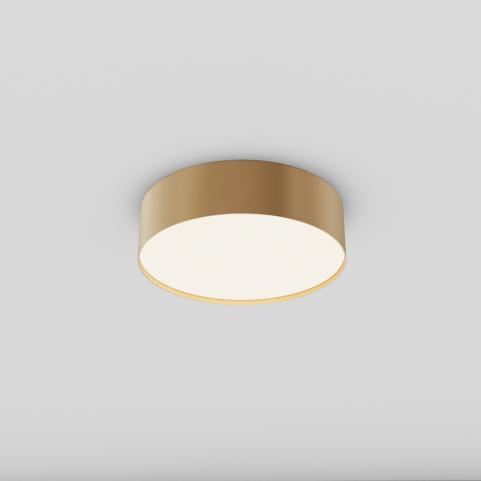 Потолочный светильник Maytoni Technical Ceiling 4000K Zon C032CL-24W4K-RD-MG