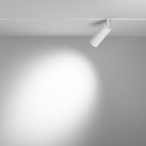 Трековый светильник Maytoni Focus Led Exility 3000-6000K TR032-4-12WTW-S-DD-W