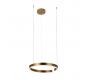 Подвесной светильник Loft IT Ring 10013M