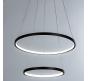 Светильник подвесной Arte Lamp Frodo A2197SP-2BK