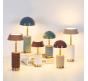 Настольный светильник Odeon Light Lulu 3000 5453/3TL